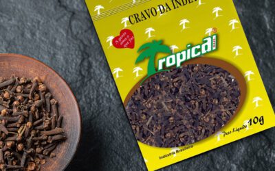 Especiarias em Itajaí: desvende o sabor inconfundível do cravo