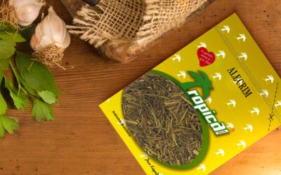 Entenda como harmonizar condimentos naturais para obter os melhores resultados