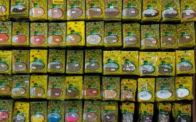 Especiarias em Joinville: saiba mais sobre o papel delas na sua saúde