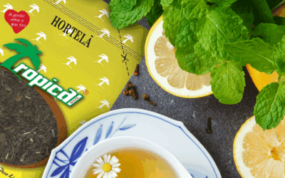 Temperos em Brusque: conheça os segredos e os mais usados na gastronomia