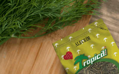 Desvende as dicas de chef para uma comida saborosa