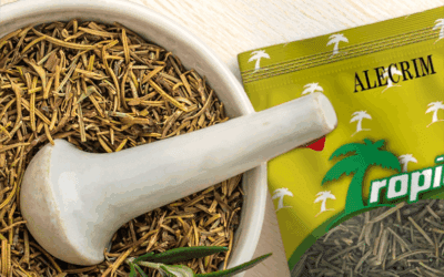 Confira nosso guia completo sobre o alecrim