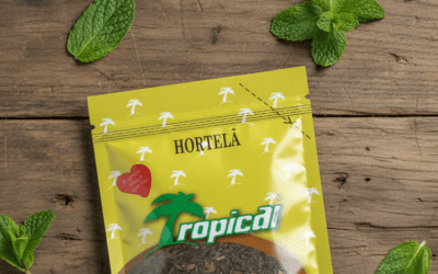 Descubra como usar temperos e especiarias sem errar