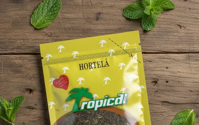 Descubra como usar temperos e especiarias sem errar