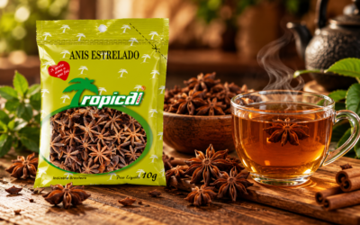 7 receitas com anis-estrelado para conquistar seu paladar